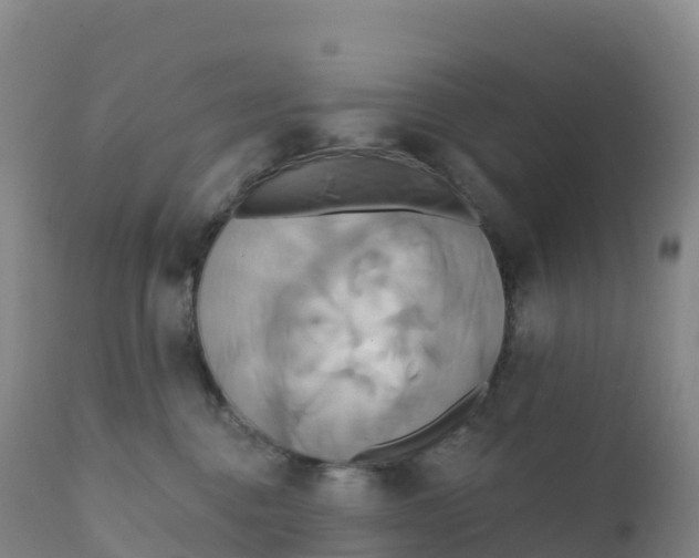 X0000111820376200908131528