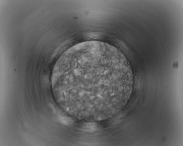 X0000111820377200908131528