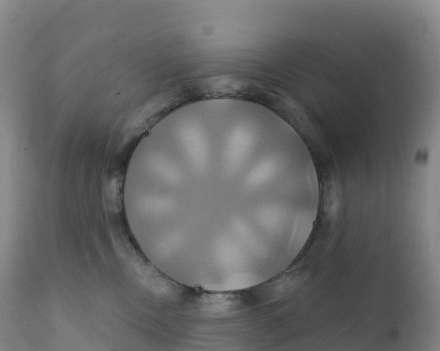 X0000111820378200908131528