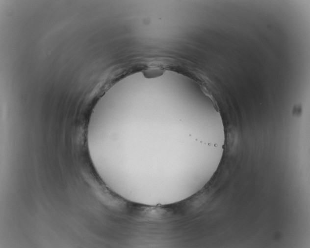 X0000111820379200908131528