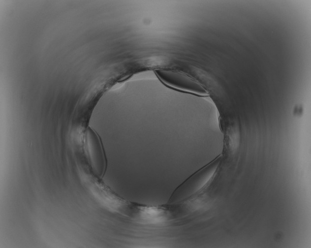 X0000111820380200908131528