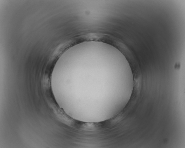 X0000111820381200908131528