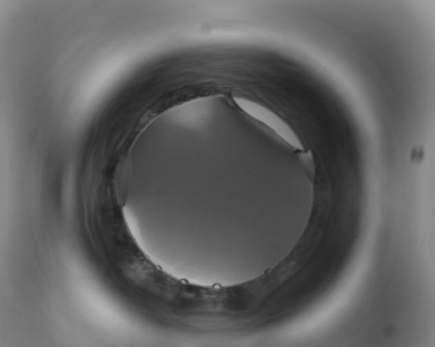 X0000111820382200908131528