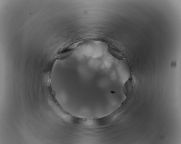 X0000111820383200908131528