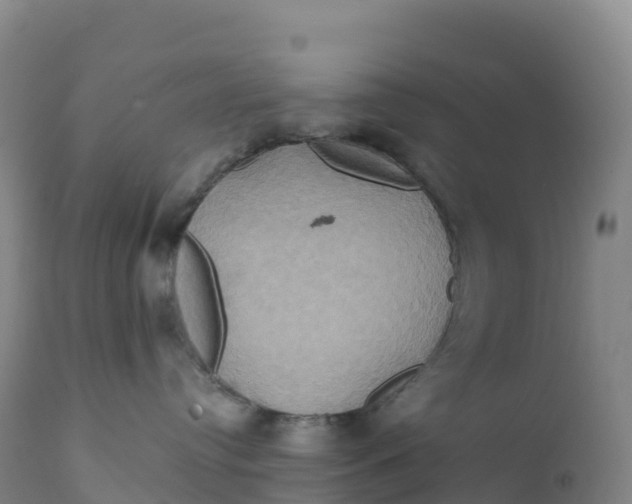 X0000111820384200908131528