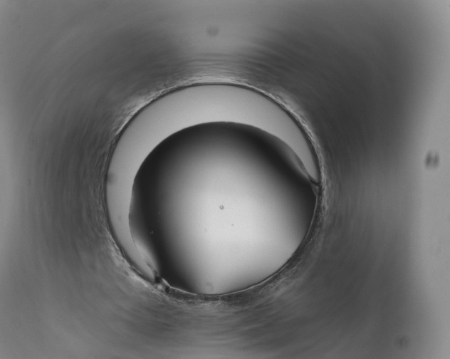 X0000111820385200908131528