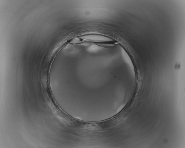 X0000111820386200908131527