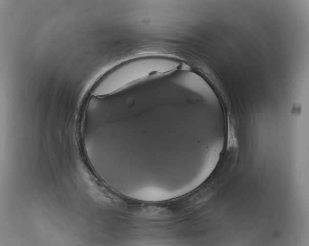 X0000111820387200908131527