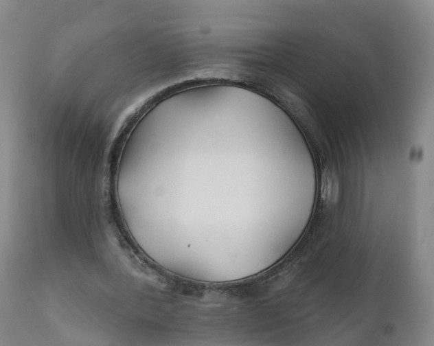 X0000111820388200908131527