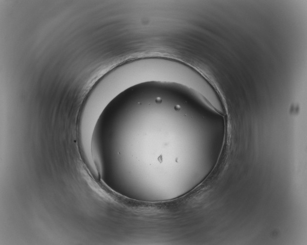 X0000111820389200908131527