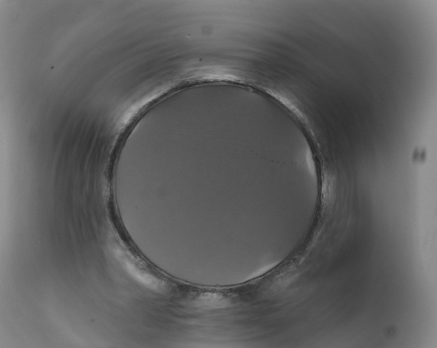 X0000111820390200908131527