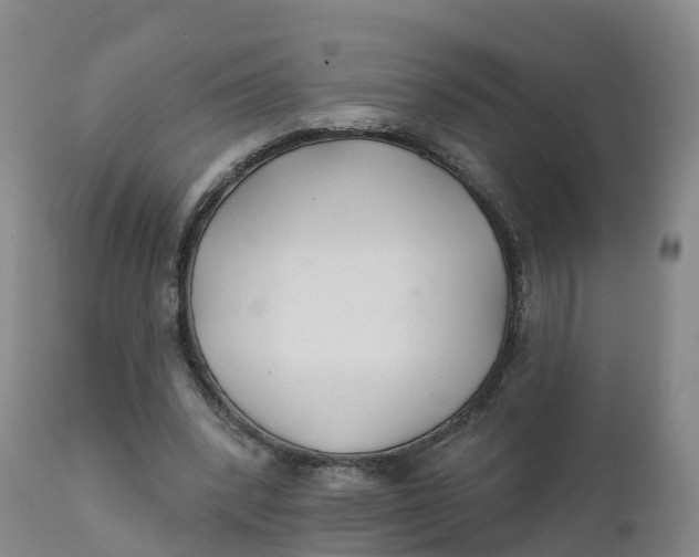 X0000111820392200908131527