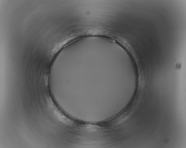 X0000111820393200908131527