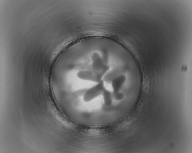 X0000111820394200908131527