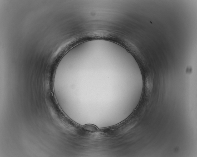 X0000111820396200908131527