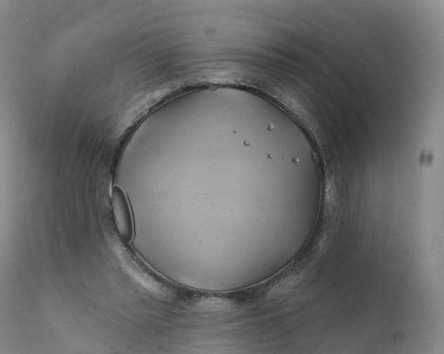 X0000111820397200908131527