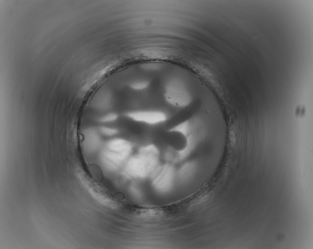 X0000111820398200908131527