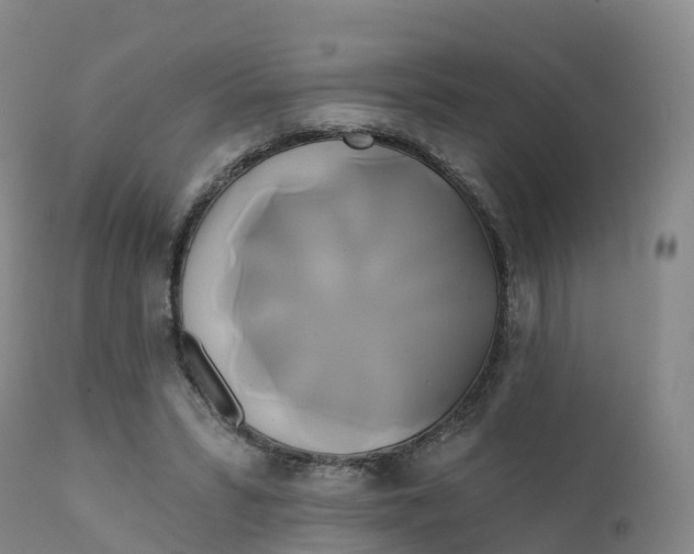 X0000111820399200908131527