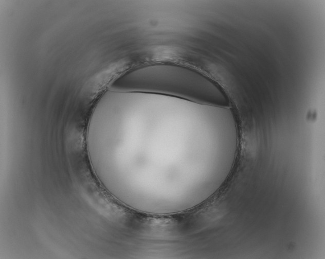 X0000111820401200908131527