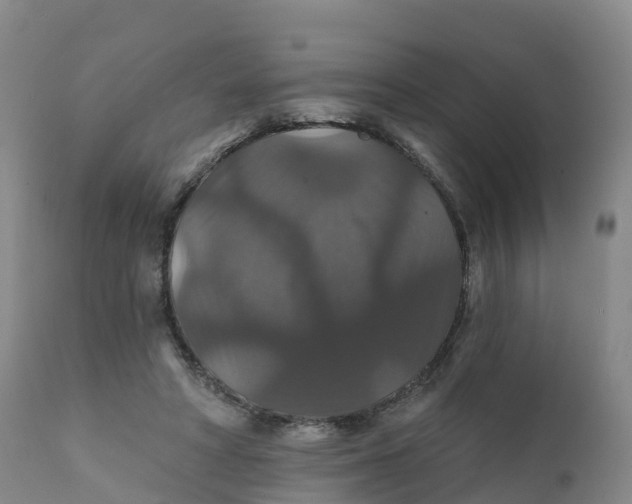 X0000111820402200908131527