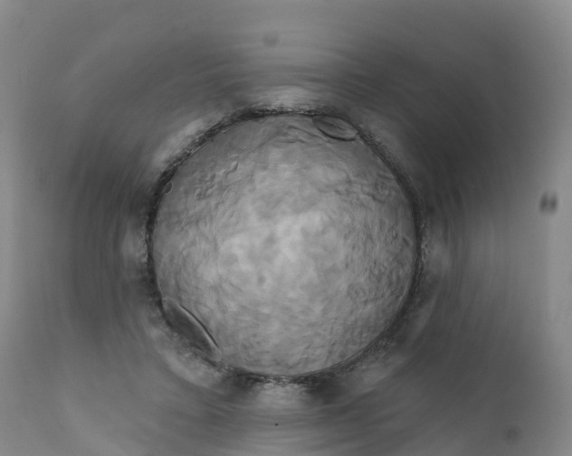 X0000111820403200908131527