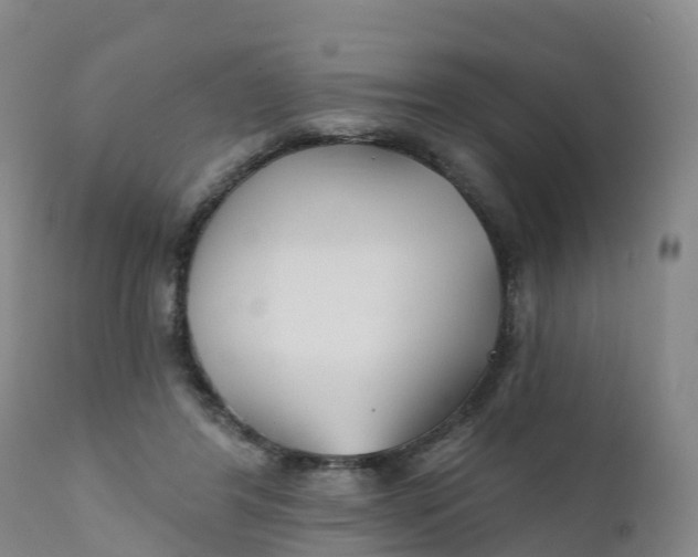 X0000111820404200908131527