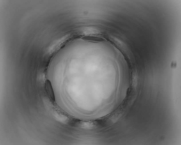 X0000111820405200908131527