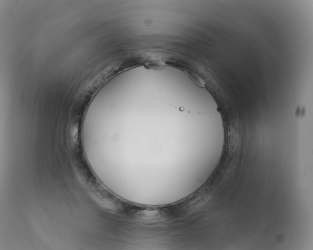 X0000111820406200908131527