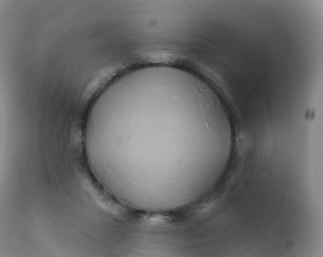 X0000111820407200908131527