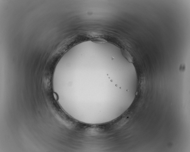 X0000111820408200908131527