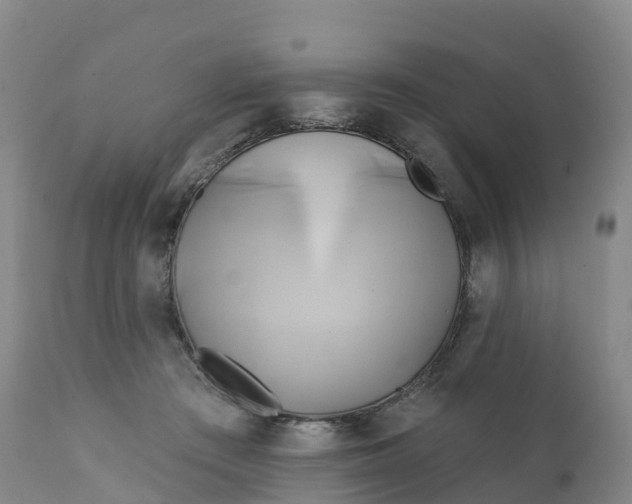 X0000111820409200908131527