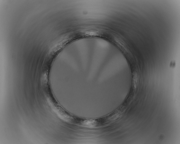 X0000111820410200908131527