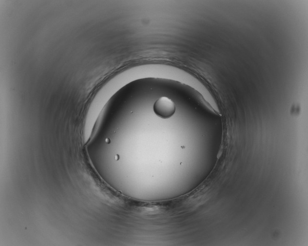 X0000111820411200908131527