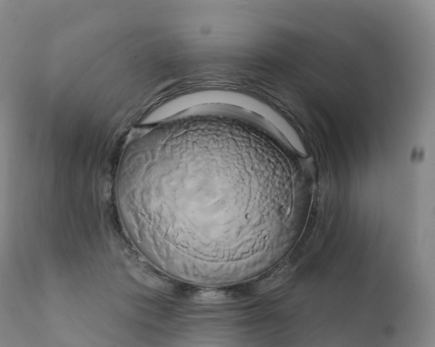 X0000111820413200908131527