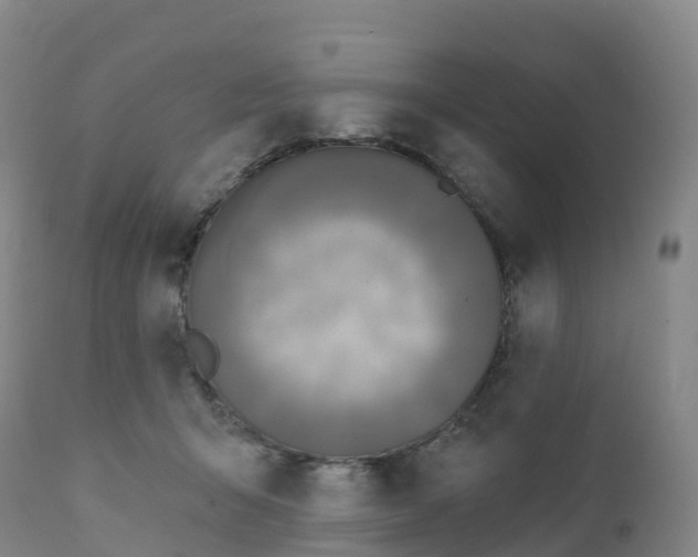 X0000111820415200908131527