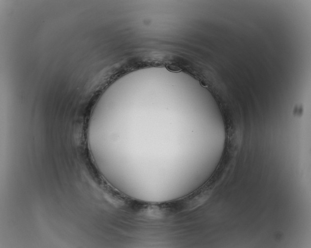 X0000111820416200908131527