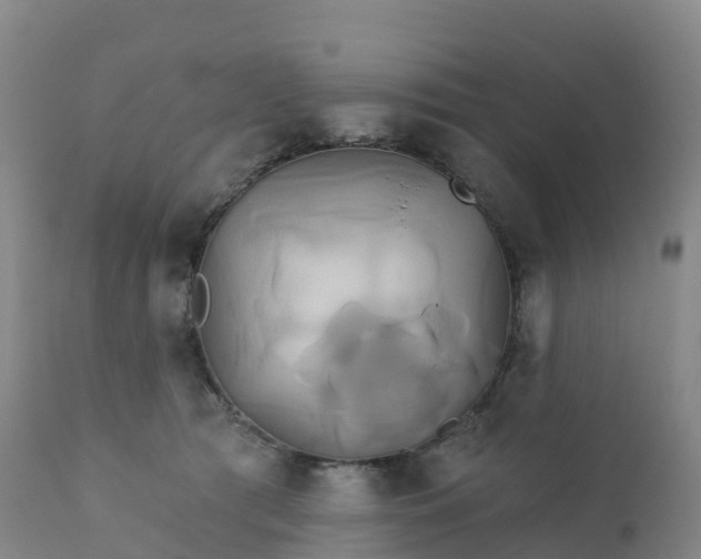 X0000111820417200908131527