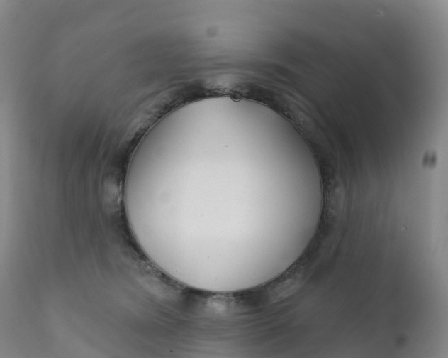 X0000111820420200908131527