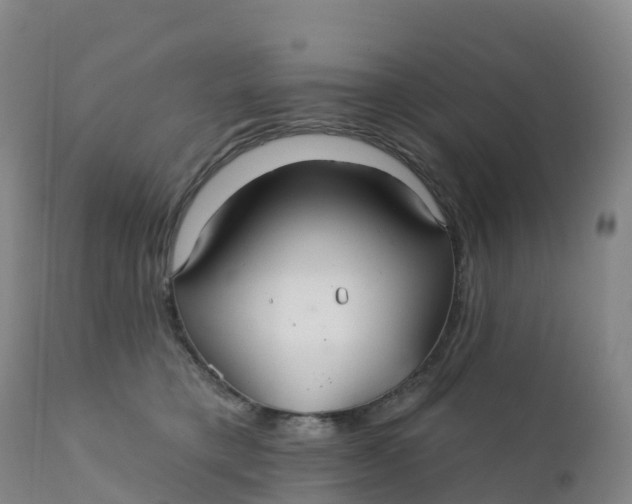 X0000111820421200908131527