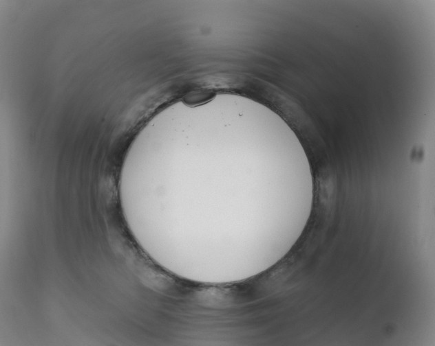 X0000111820422200908131527