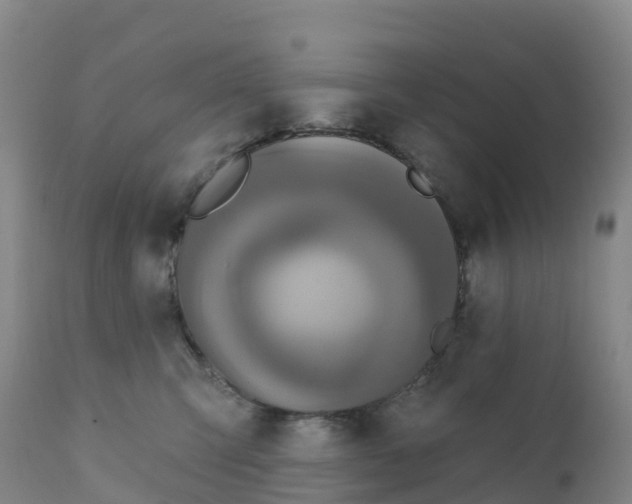 X0000111820423200908131527