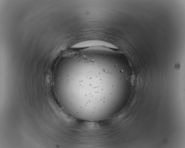 X0000111820424200908131527