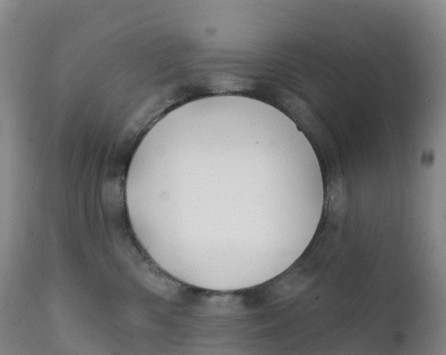 X0000111820426200908131527