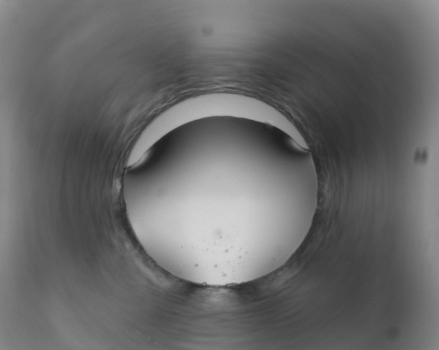 X0000111820427200908131527