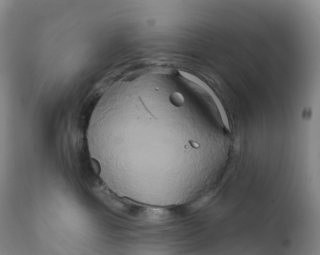 X0000111820429200908131527