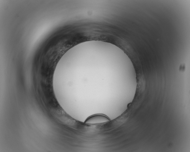 X0000111820430200908131527