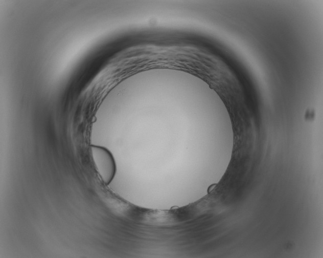 X0000111820431200908131527