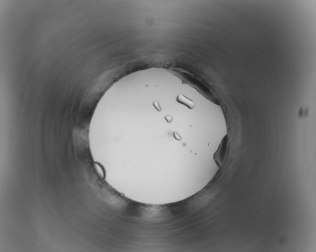 X0000111820432200908131527