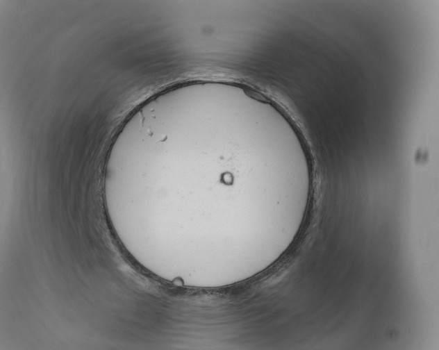 X0000111820433200908131526