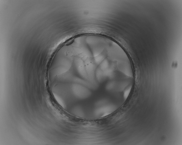 X0000111820434200908131526